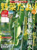 野菜だより